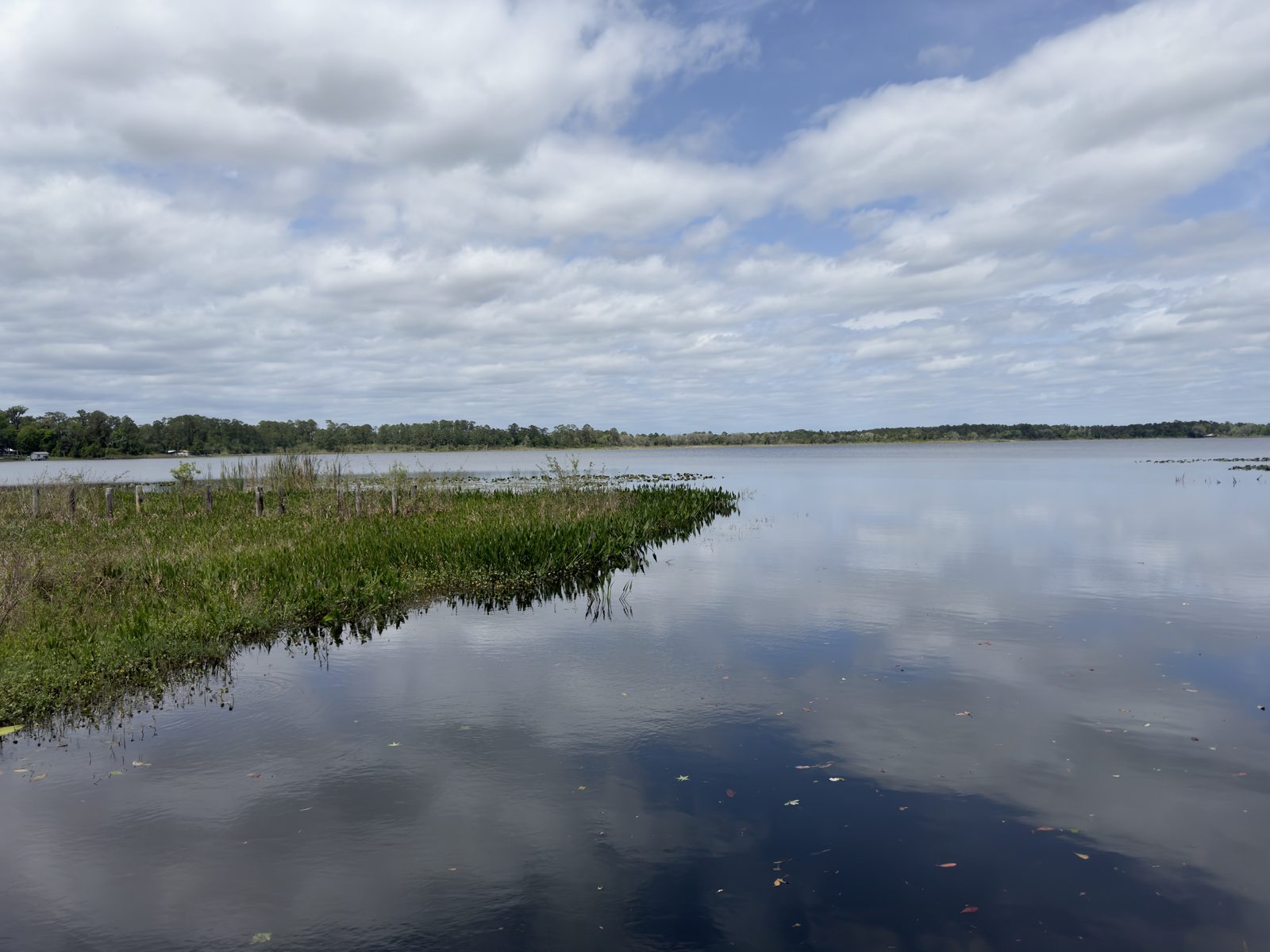Calm lake near Interlachen in Putnam County, Florida, with marsh grass along the shore and clouds reflected in the water