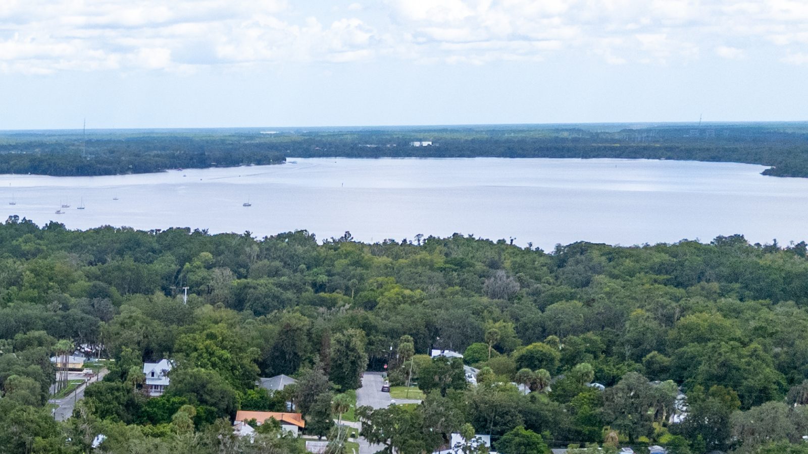 Aerial view over Palatka tree canopy toward the wide St. Johns River and a long bridge, Putnam County, Florida