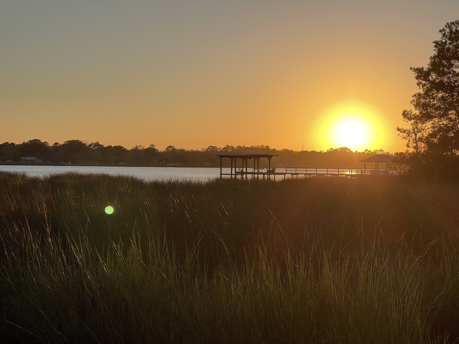 Marsh grass in front of a dock at sunset