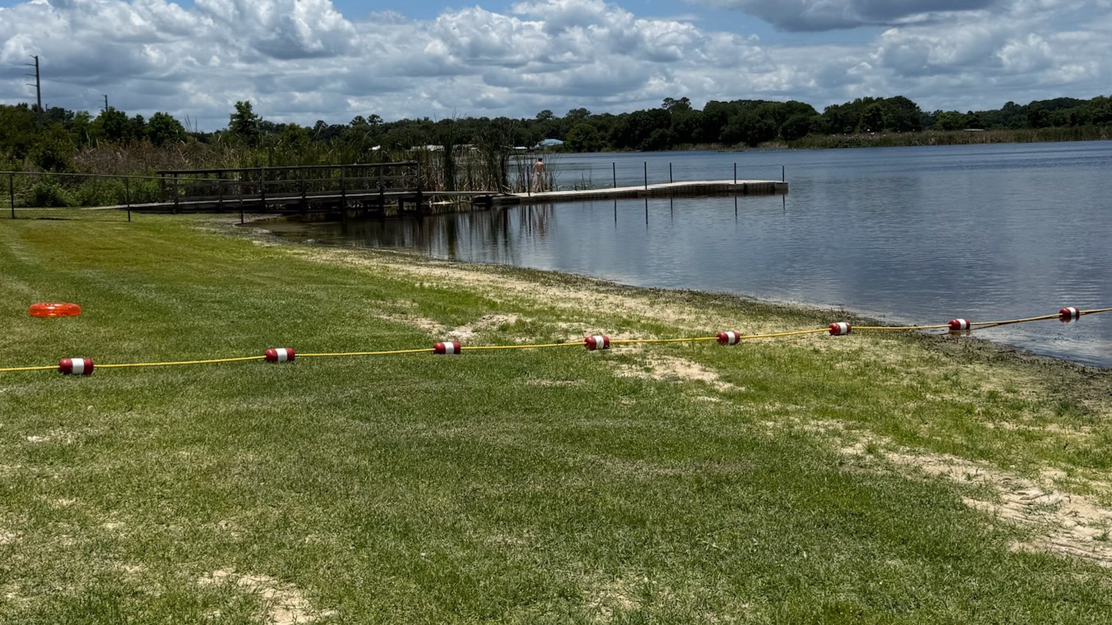 A grassy lakeshore with a wooden dock and a line of swim buoys on a calm lake under puffy clouds.